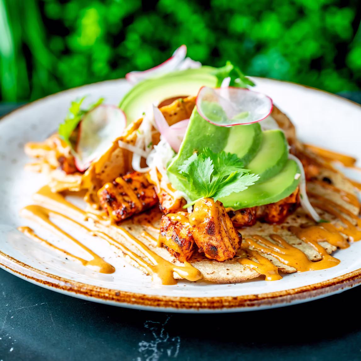 Bonita’s Latin Fusion entrée